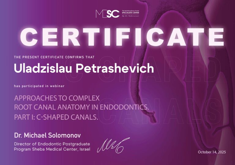 Certyfikat_Uladzislau_Petrashevich-11