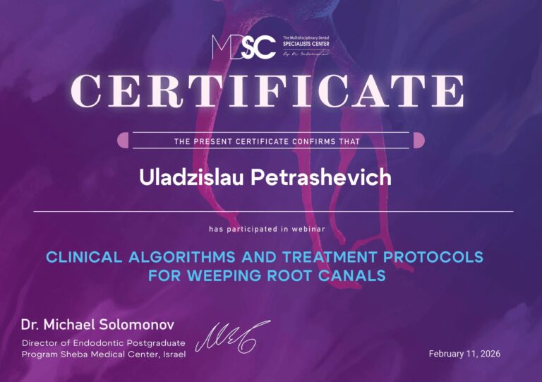 Certyfikat_Uladzislau_Petrashevich-12