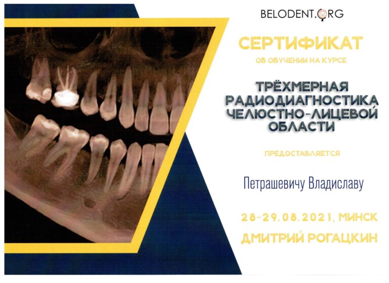 Certyfikat_Uladzislau_Petrashevich-15