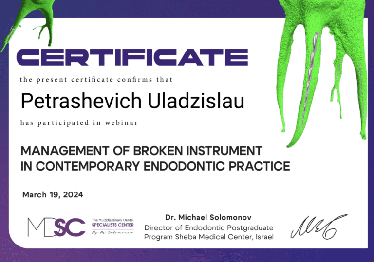 Certyfikat_Uladzislau_Petrashevich-5